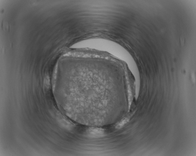 X0000084050617200703161858