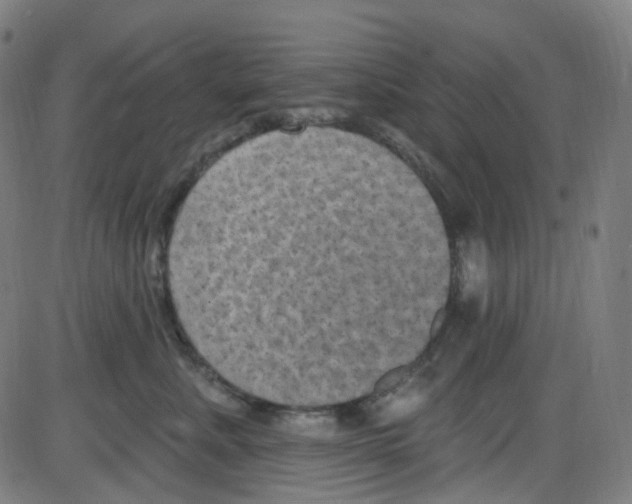 X0000084050619200703161858