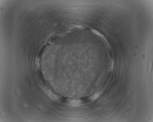 X0000084050621200703161858