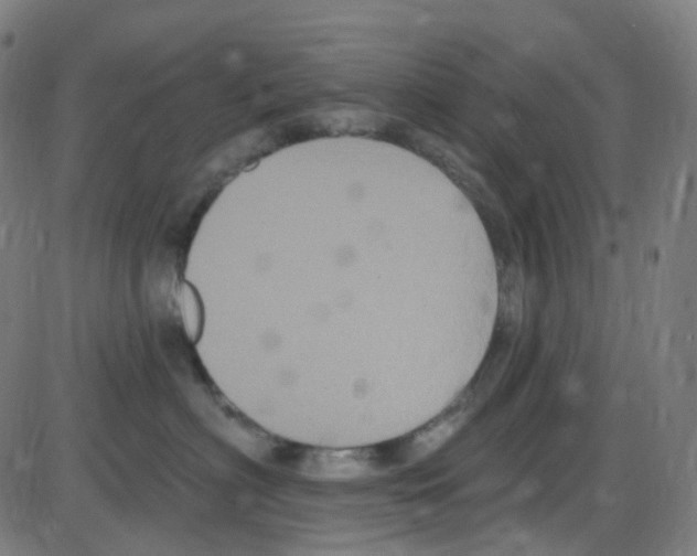 X0000084050622200703161858