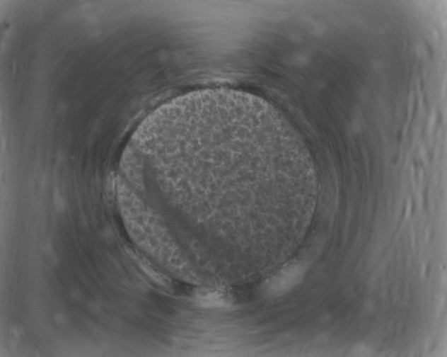 X0000084050624200703161858