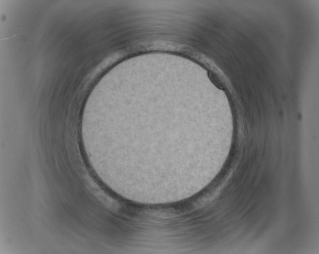 X0000084050625200703161857