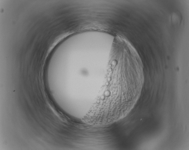 X0000084050626200703161857