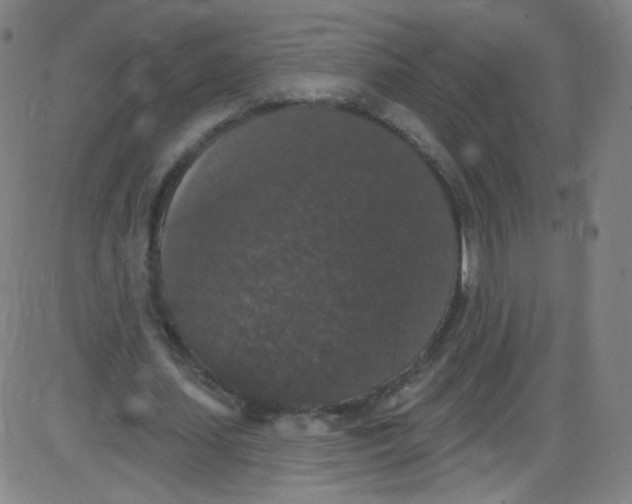 X0000084050627200703161857