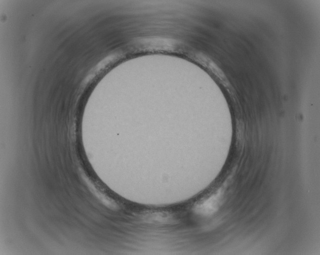 X0000084050629200703161857