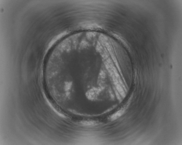 X0000084050630200703161857