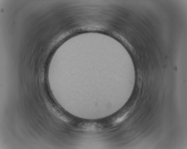 X0000084050631200703161857