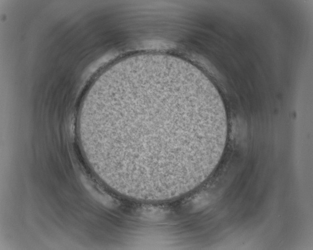 X0000084050632200703161857