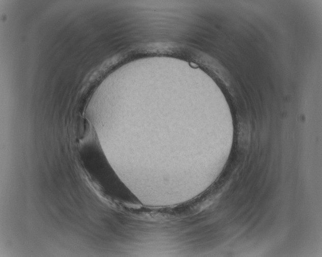 X0000084050633200703161858