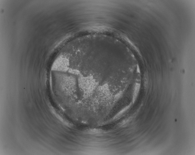 X0000084050637200703161858