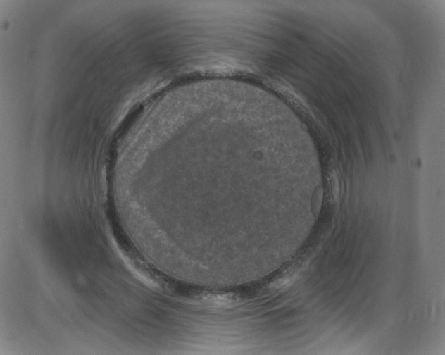 X0000084050638200703161858