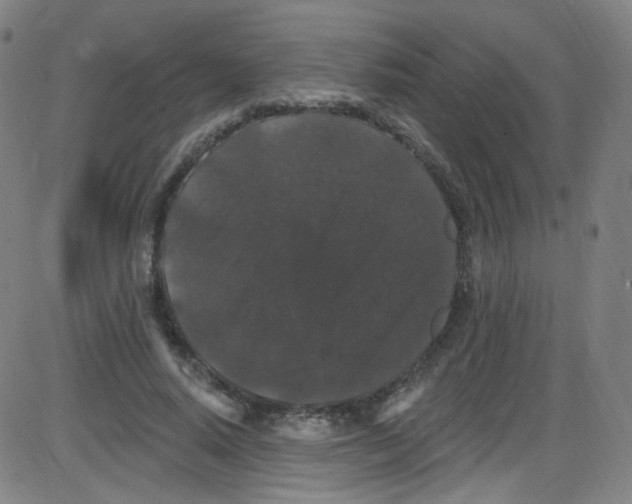 X0000084050640200703161858