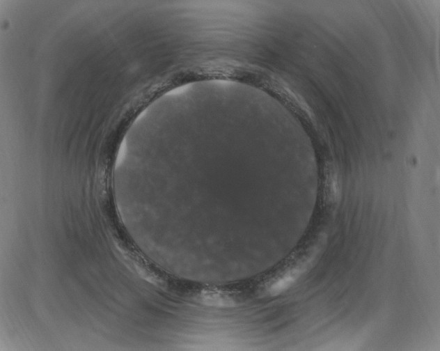 X0000084050641200703161858