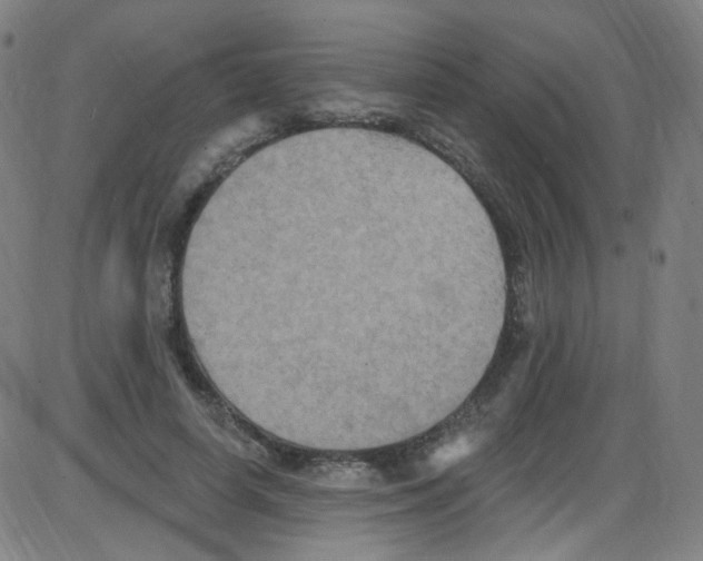 X0000084050642200703161858