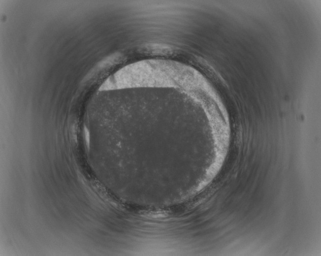 X0000084050643200703161858