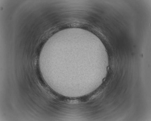 X0000084050645200703161858