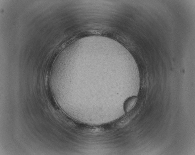 X0000084050646200703161858