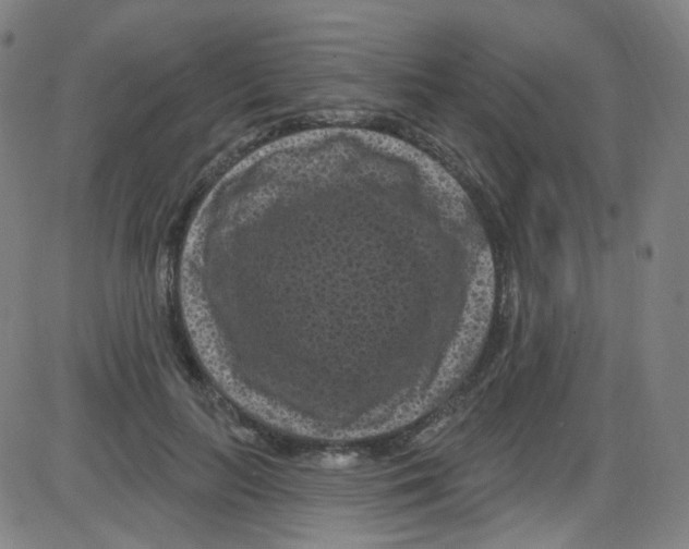 X0000084050647200703161858