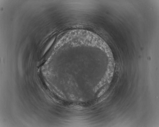 X0000084050648200703161858