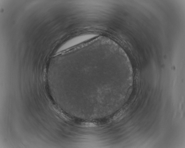 X0000084050649200703161858