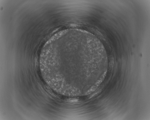 X0000084050651200703161858