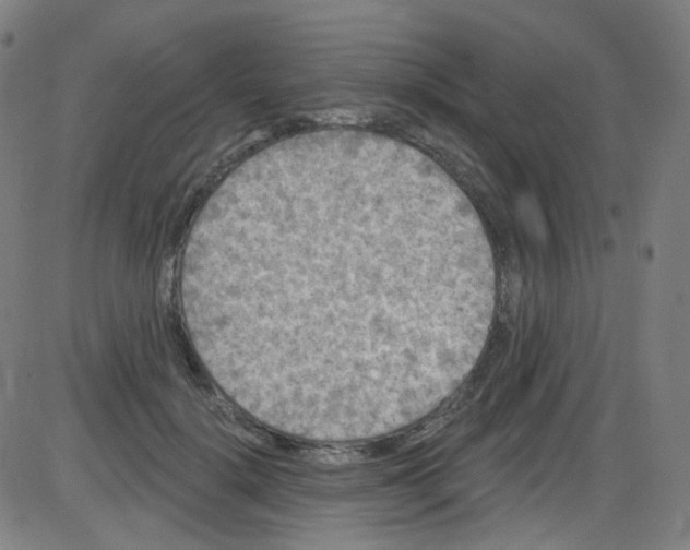 X0000084050652200703161858