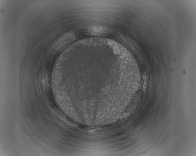 X0000084050653200703161858