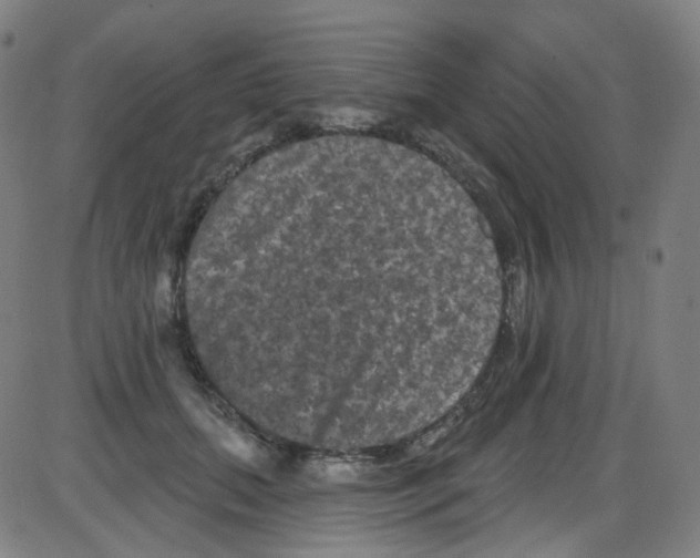 X0000084050655200703161858