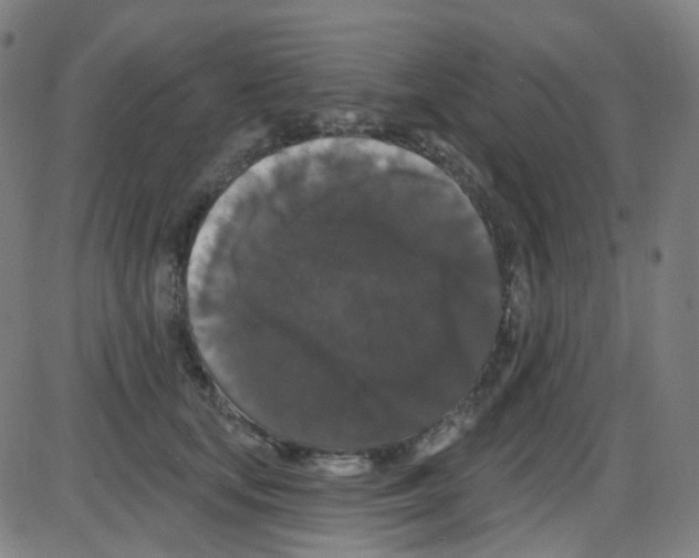 X0000084050659200703161858