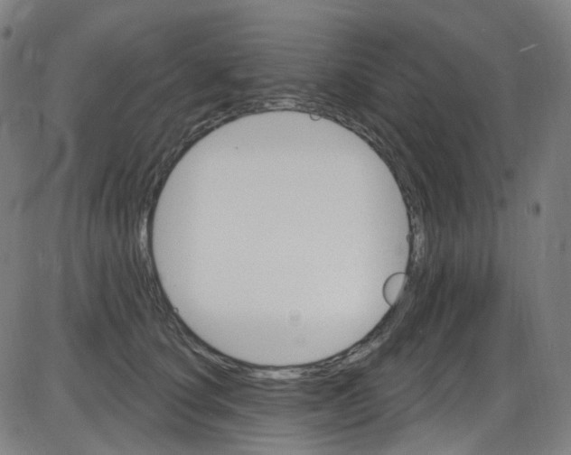 X0000084050660200703161858