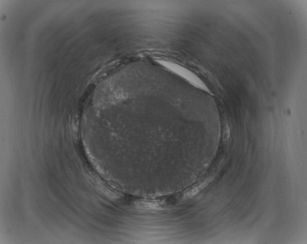 X0000084050661200703161858