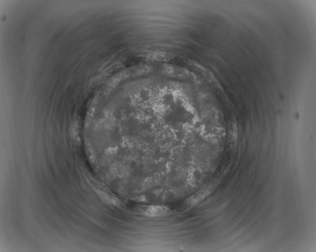 X0000084050663200703161858