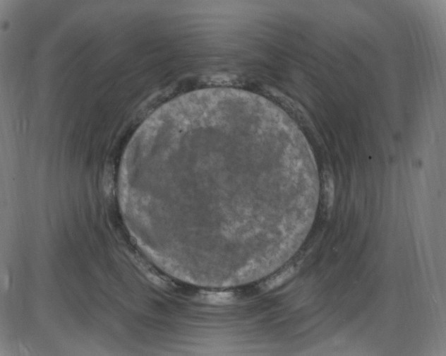 X0000084050665200703161858