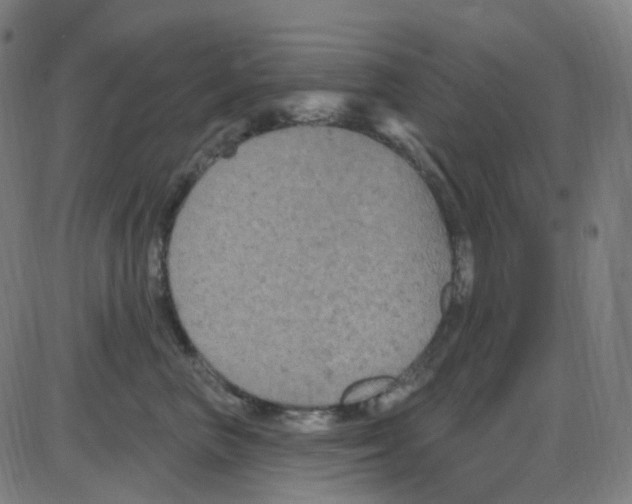 X0000084050667200703161858