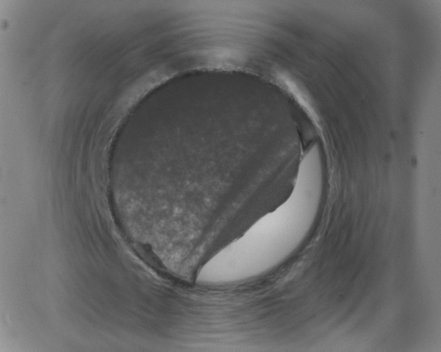 X0000084050673200703161857