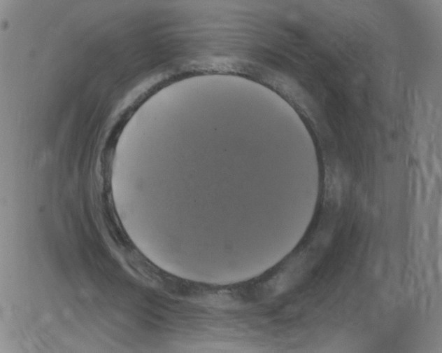 X0000084050674200703161857