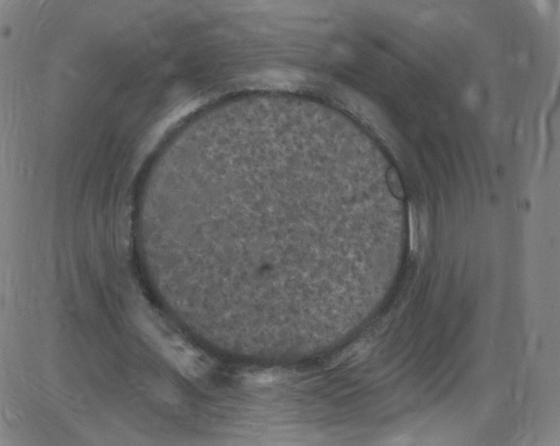 X0000084050675200703161857