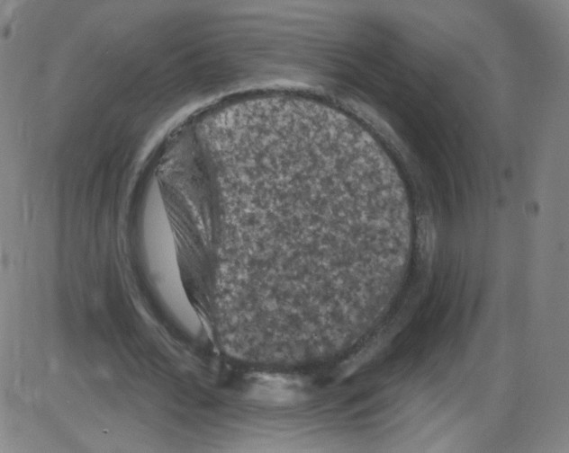 X0000084050676200703161857