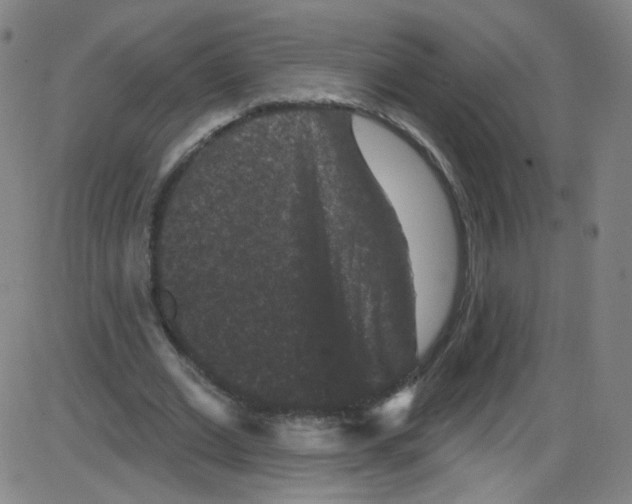 X0000084050677200703161857