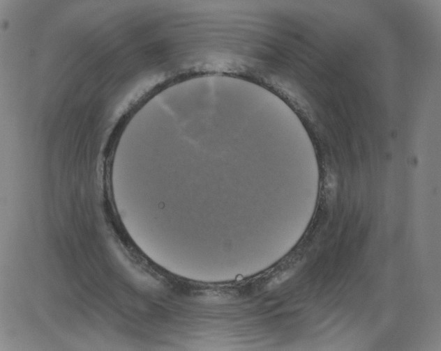 X0000084050678200703161857