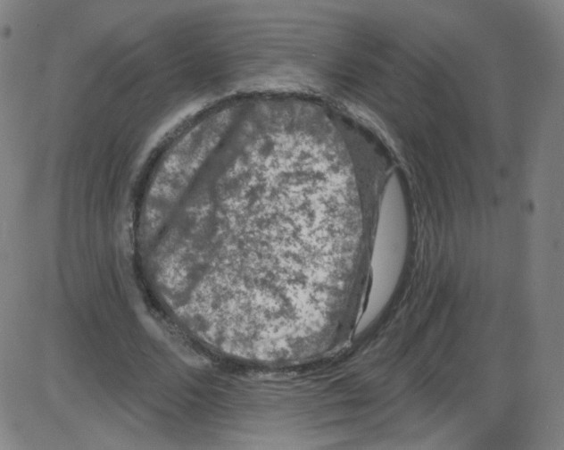 X0000084050680200703161857