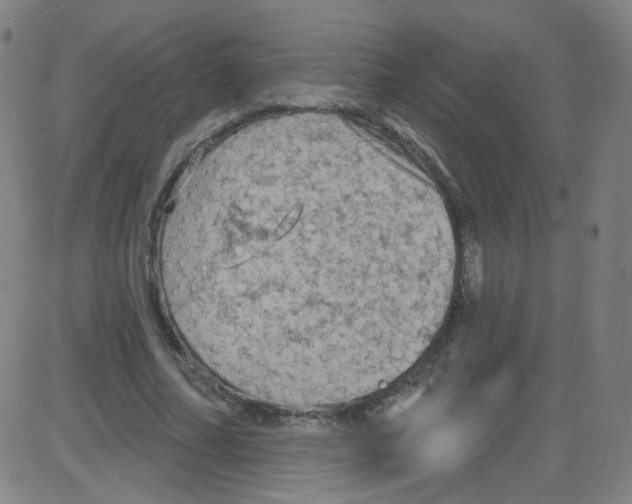 X0000084050682200703161857