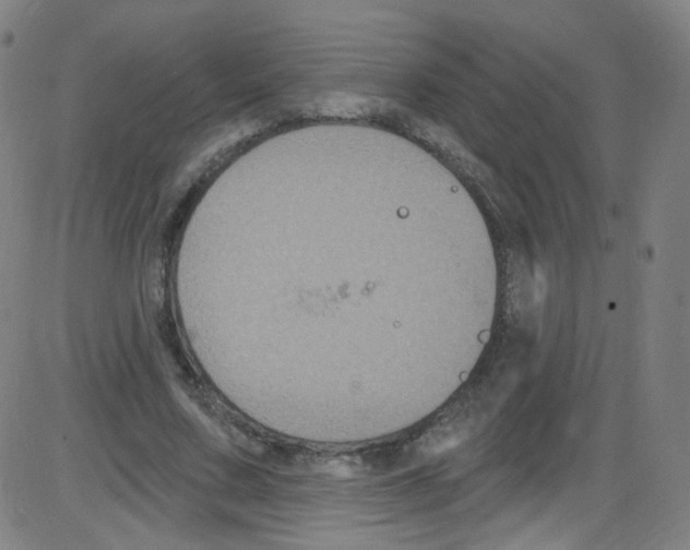 X0000084050683200703161857