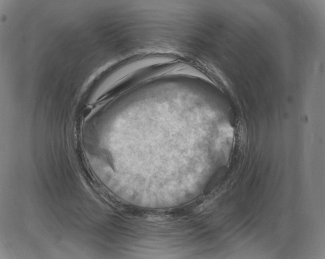 X0000084050684200703161857