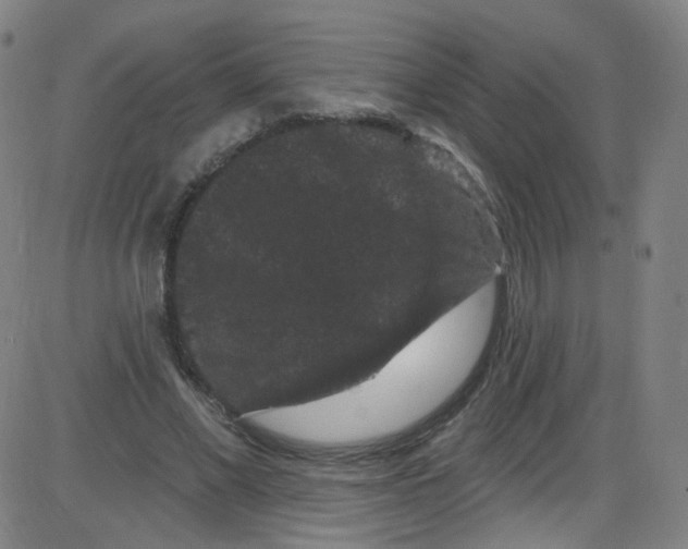 X0000084050685200703161857