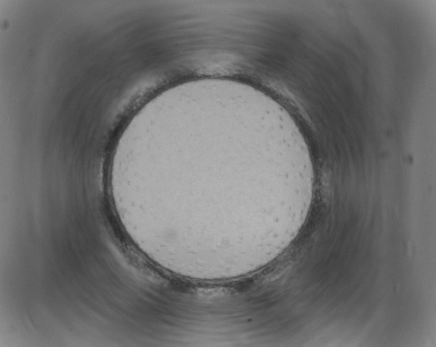 X0000084050686200703161857