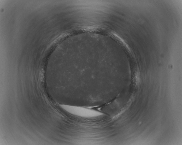 X0000084050689200703161857