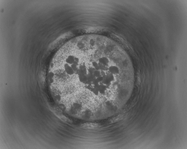 X0000084050691200703161857