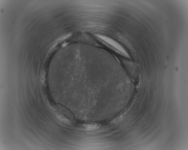 X0000084050693200703161857