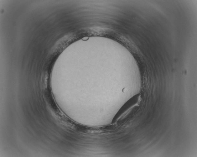 X0000084050694200703161857